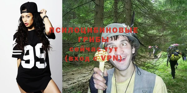 индика Абдулино