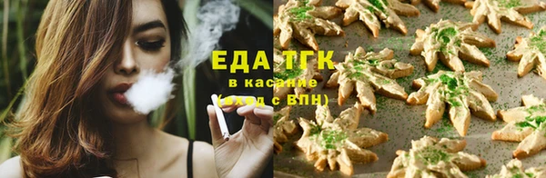 тгк Алзамай
