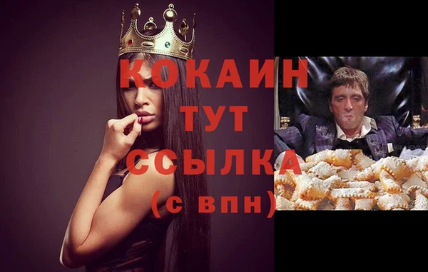 тгк Алзамай