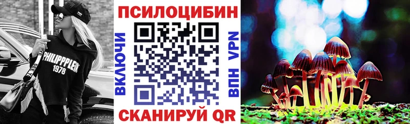 закладки  Егорьевск  даркнет клад  Галлюциногенные грибы GOLDEN TEACHER 